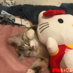 baiyue