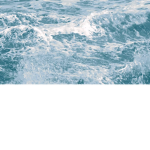 Summer Waves