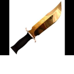 ROBUX FOR THINGS IN GAMES
