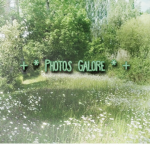 + * Photos Galore * +