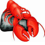 Lobster Studio's