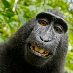 Monke Party
