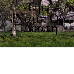 The Mystical Forest