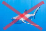 SHARK HATE GROUP