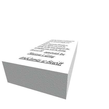 Airline Ticket