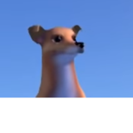 Doge such group