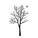 N-V