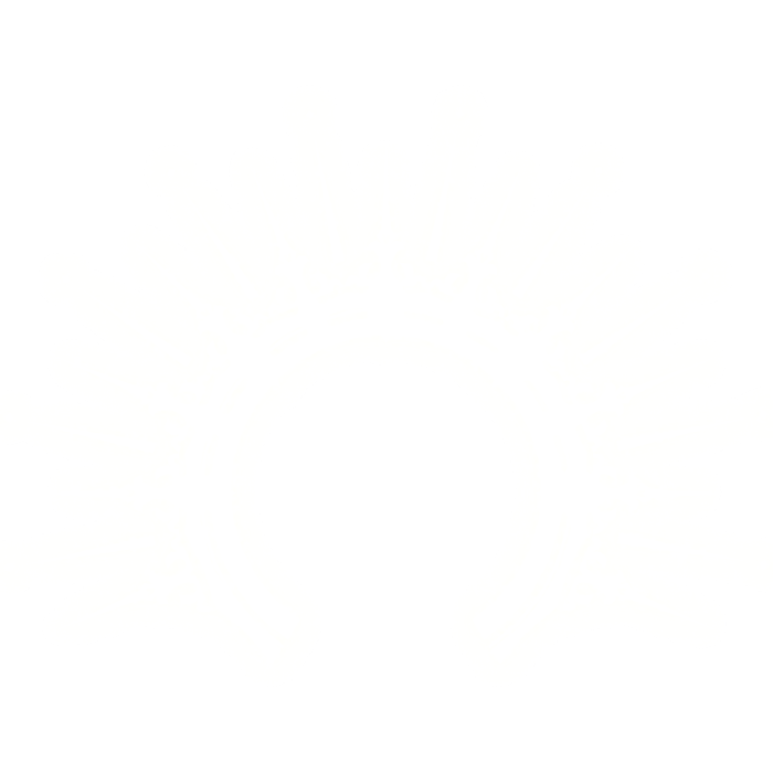 GLOWING Empress Halo