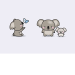 Team koala nation