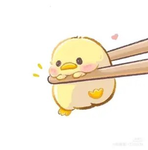 ~ -THE DUCKY SQUAD- ~