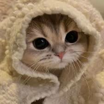kttyslur
