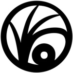 V F D Volunteer Fire Department