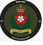 intellgencE corps