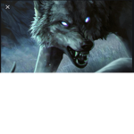 Wolf._.Pack._.EEEEEE