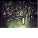 Trevor He der son creatures