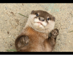 OtterFamily
