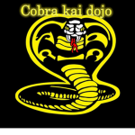 !Cobra kai dojo!