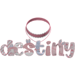destiny lace choker