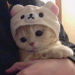 $wag’