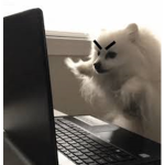 Procrastination Station
