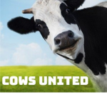 Cows United Corp.
