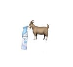 FEBREZE sniffing goats