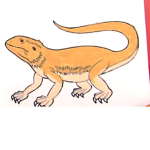 Reptiles are cool