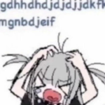 mfeds