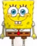 Jdhfhjewjjrfsjjferjfrefrjmfe