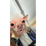 caitiemoney