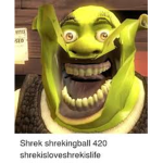 Check yourself before you Shrek yourself.