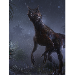 Raptor Chat