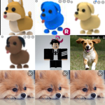 TEAM COOL DOGS