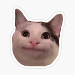 meow GRUP:)