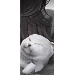 :VVVVVVV
