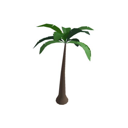 Palm Tree