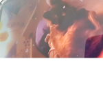 groupe ou je donne des robux
