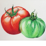 Itz_TomaToGangZ