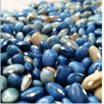 Blue Bean Group
