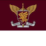 95th Separate Air Assault Brigade