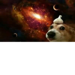 Rootigan Galaxy