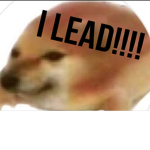 Doge Leads all!