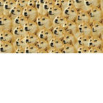 Doge Forever