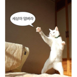 콩수니 냉장고