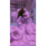 Iosvrr