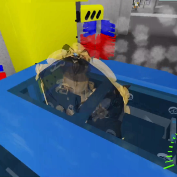 California/Texas/Virgina/Flordia car wash