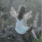 princess fairies