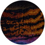 PRISMATIC Felsic Torvosaurus Unlocked! Roblox badge thumbnail