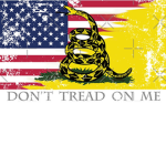The Chicago Armed Citizenry Association