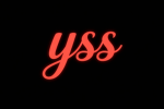South bronx YSS